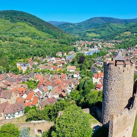 Les Chambres De La Weiss Kaysersberg-Vignoble Kültér fotó