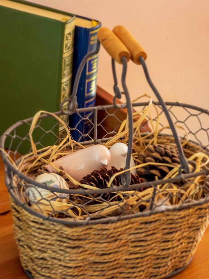 Les Chambres De La Weiss Kaysersberg-Vignoble Kültér fotó