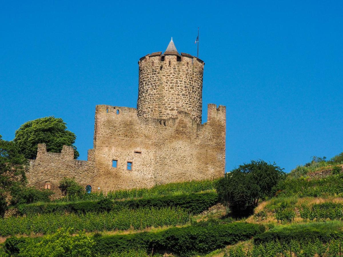 Les Chambres De La Weiss Kaysersberg-Vignoble Kültér fotó